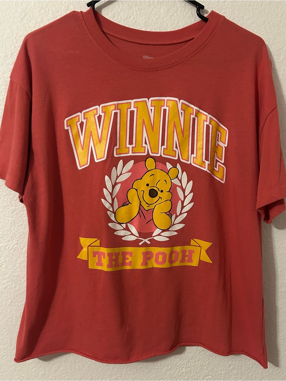 Disney Winnie the Pooh Graphic Women’s Tee